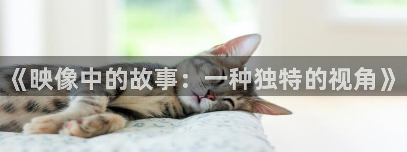 姐妹情室西瓜影院