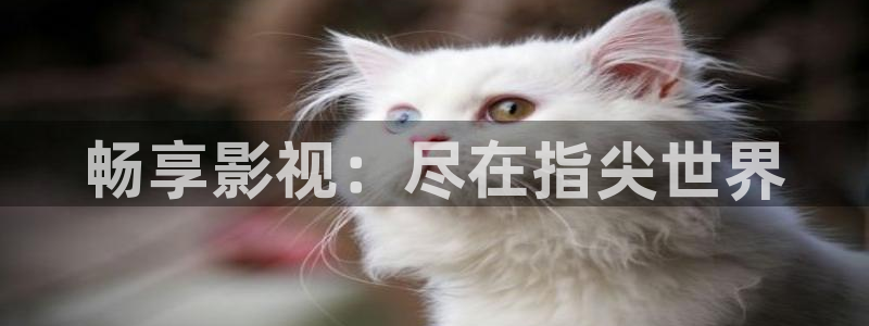 琅琊榜在线观看免费观看西瓜影院