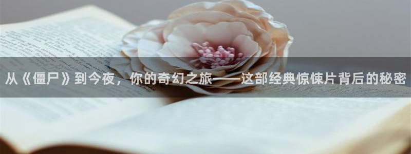 理想之城电视剧西瓜影院免费观看