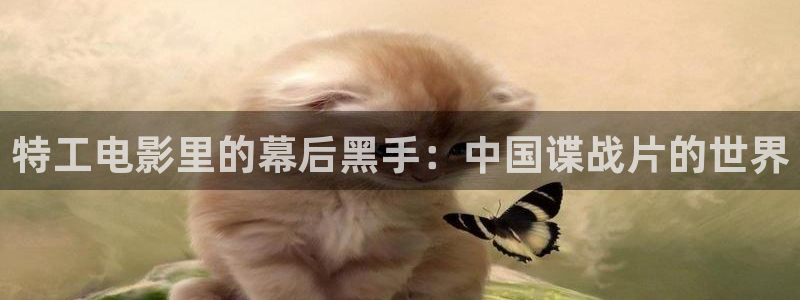 舍我其谁电视剧免费观看西瓜