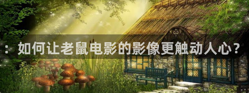 姜子牙在线观看免费西瓜