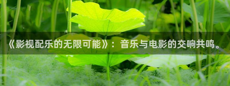 西瓜视频'