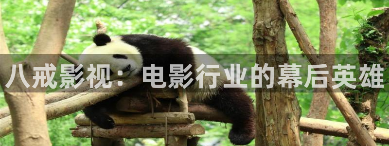 潜伏免费全集观看西瓜影院
