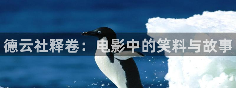 不惑之旅免费观看西瓜