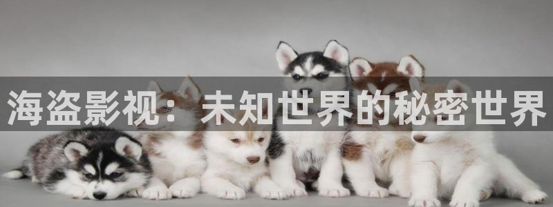 下载西瓜视频软件到手机桌面