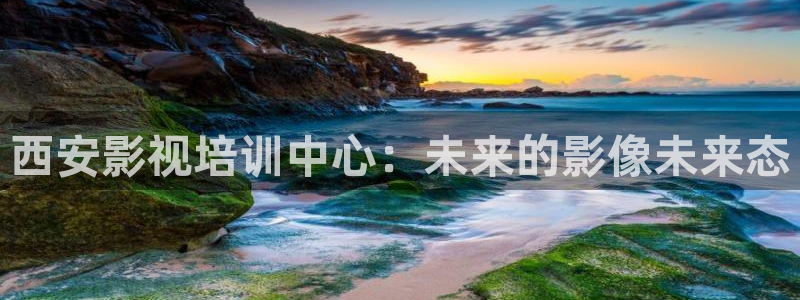 西瓜电影追剧电视剧