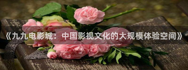 西瓜在线影院电视剧免费