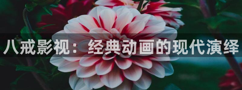 西瓜影院2021最新电影电视剧