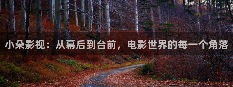 神马影院西瓜