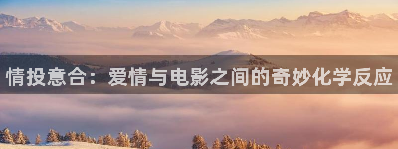 最好的我们免费观看全集西瓜