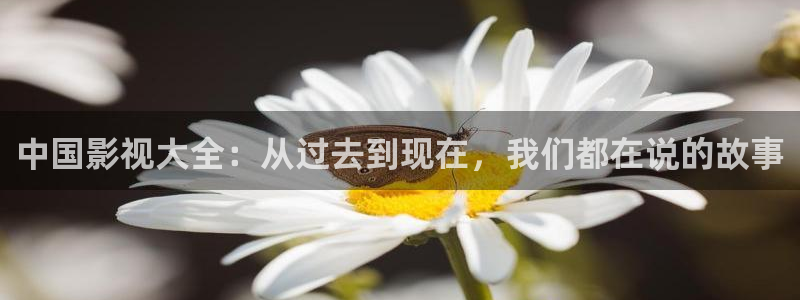 西瓜网免费在线观看电视剧