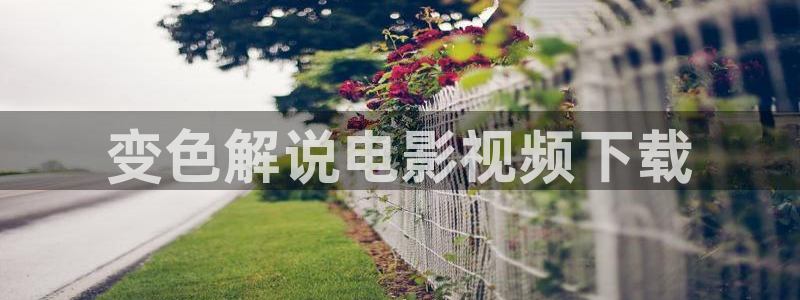 西瓜影视网站
