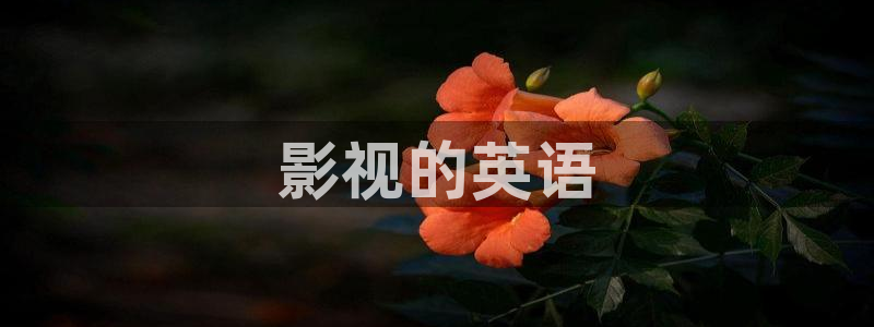 西瓜免费电影网