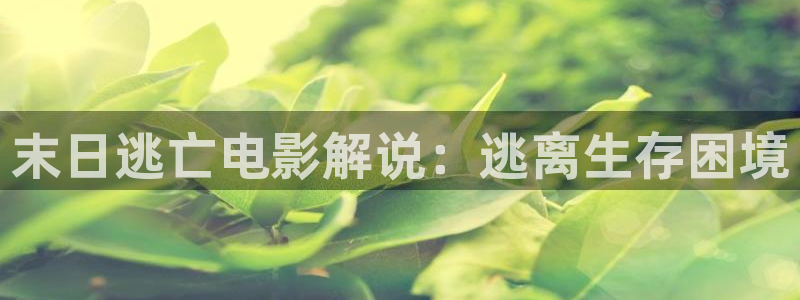 我要下载西瓜视频