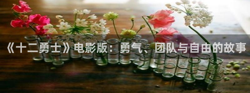 落地请开手机免费观看完整版西瓜