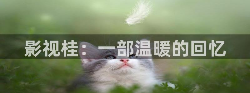 看西瓜视