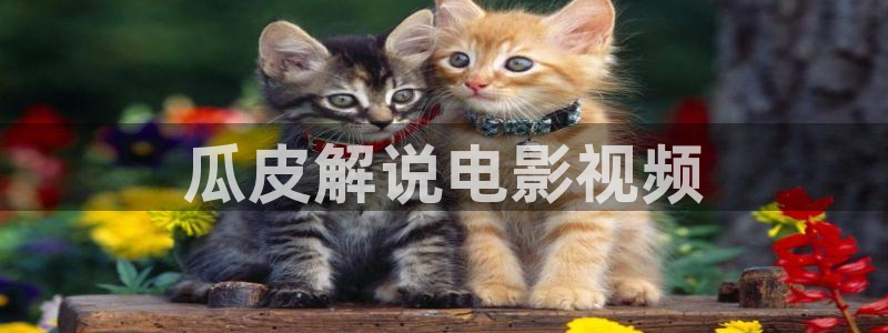 妈妈的职业西瓜影院