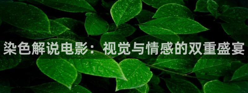 西瓜电影妈妈的朋友