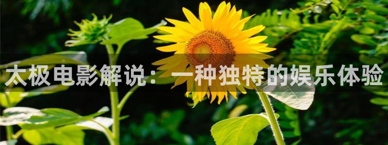 浙江台州西瓜