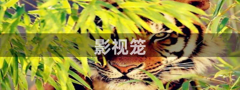 西瓜在线视频免费观看