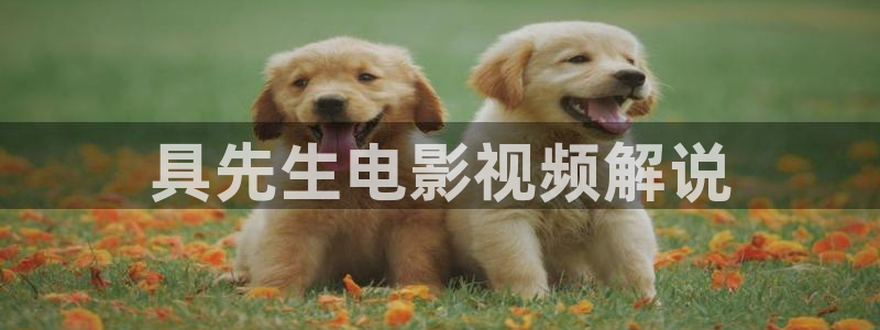 江照黎明西瓜免费观看