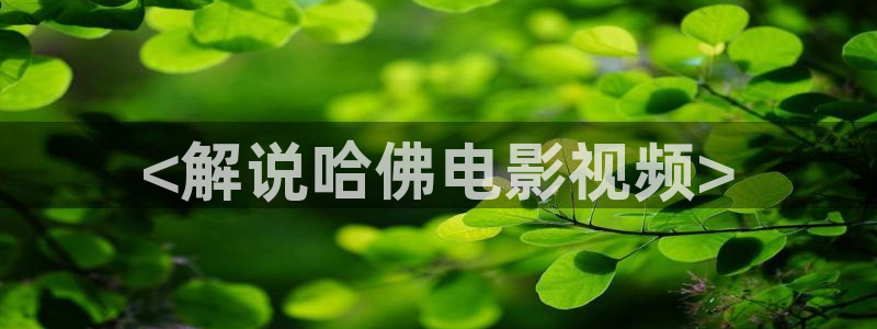 西瓜在线网