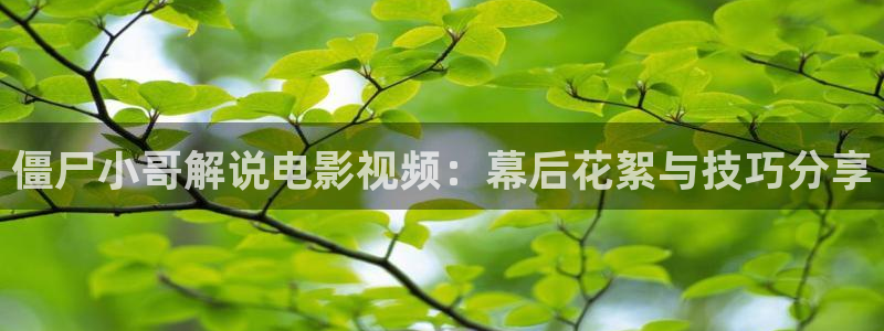西瓜视频免费看电视剧