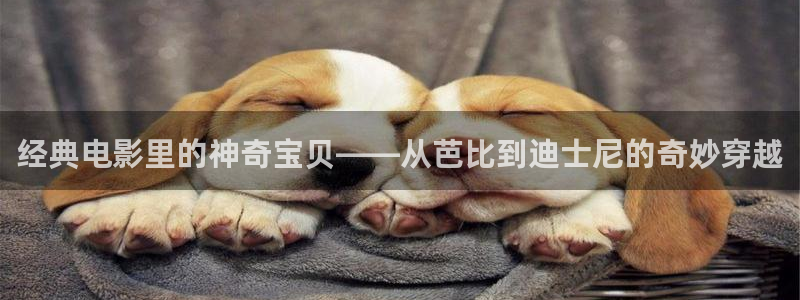 西瓜影院西瓜影音官网