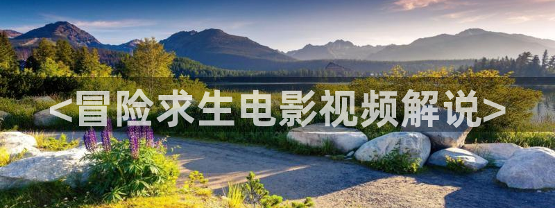 大漠高墙全集在线观看完整版西瓜