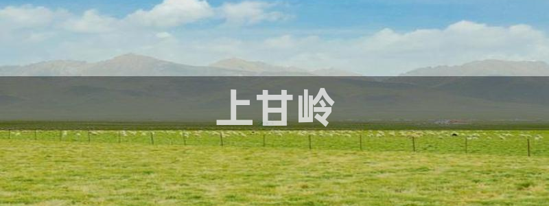 小日子西瓜免费观看