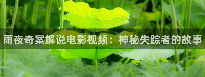 在线免费观看西瓜影院