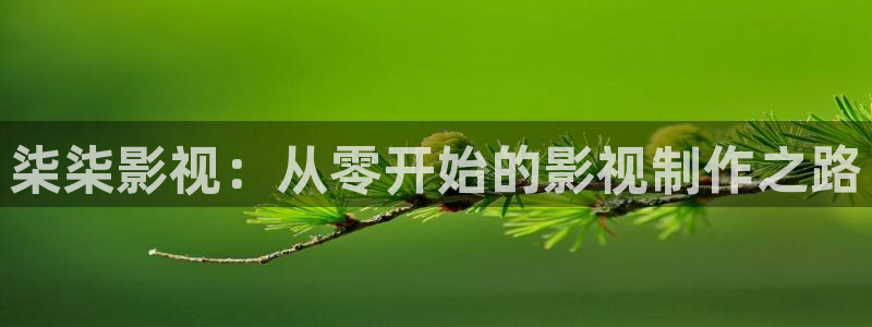 雁回时在线观看西瓜影院