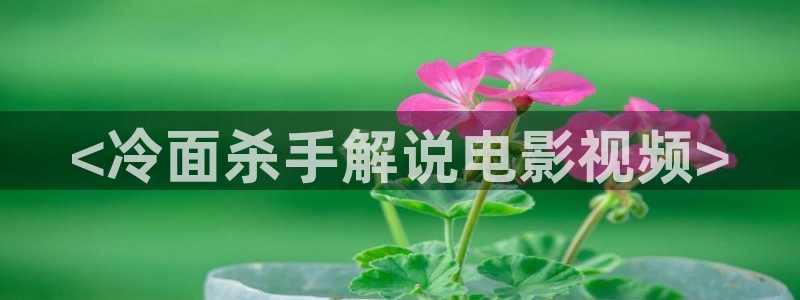 西瓜电影免费提供