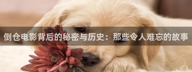 豆腐西施桃谷在线西瓜