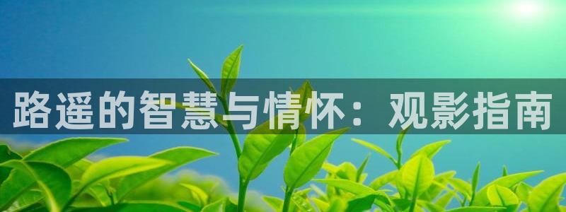 罚罪全集免费观看完整版西瓜