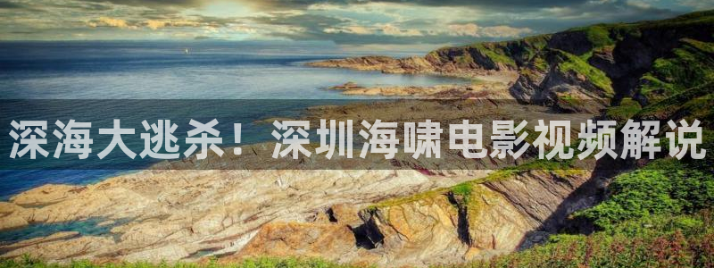 西瓜影院免费电影