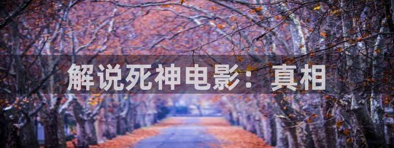 平凡之路西瓜网免费观看
