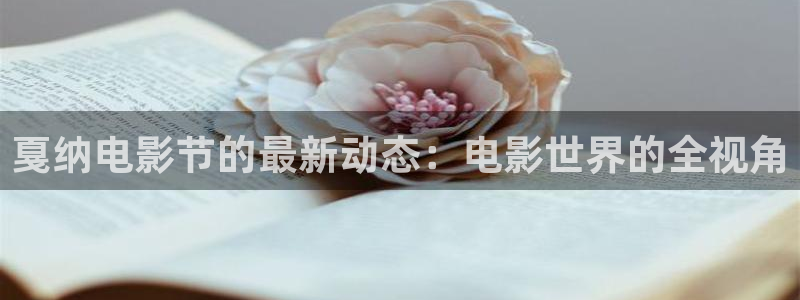 爱情不打烊电视剧西瓜免费观看